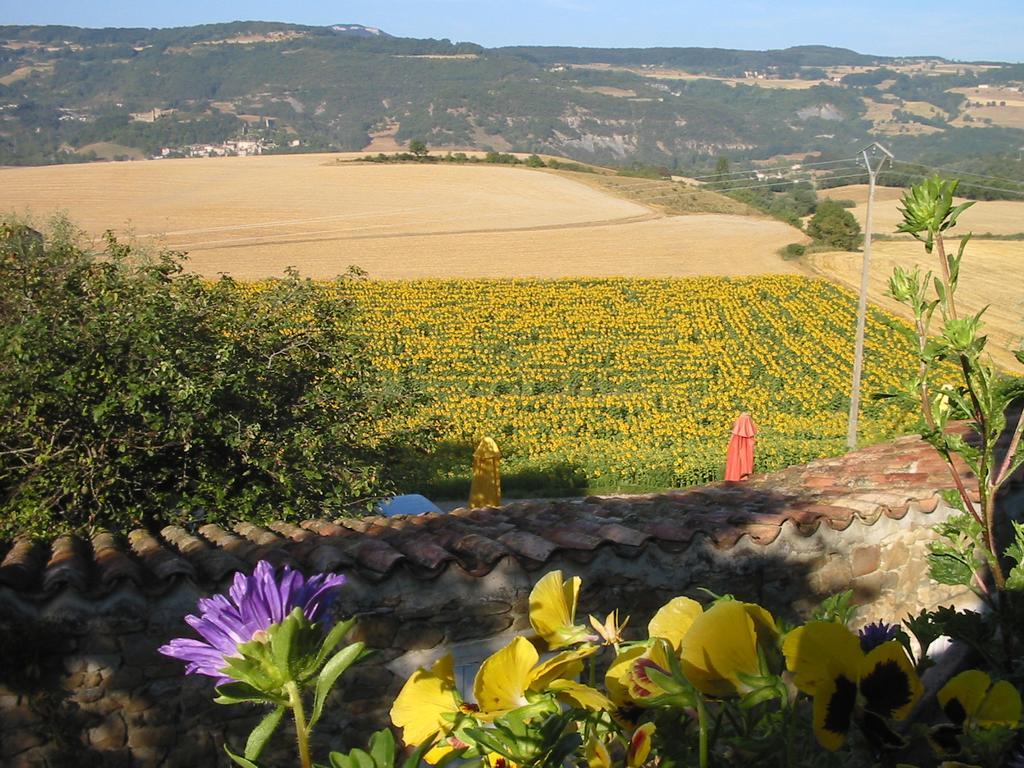 Chambre D'Hotes Les Junchas Bourdeaux Exterior foto